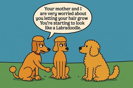 labradoodle.jpg