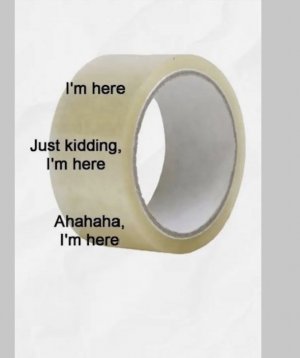 Screen Shot 2025-12-18 at 9.12.31 AM.jpg