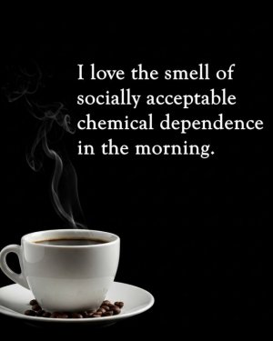 6ddbc55c8f8df9ce46510e45c65db90d (1).jpg