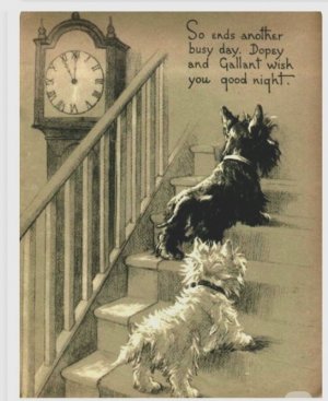 Screen Shot 2025-11-03 at 6.59.20 PM.jpg