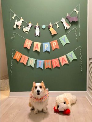 10th Bday.2.2025.JPG