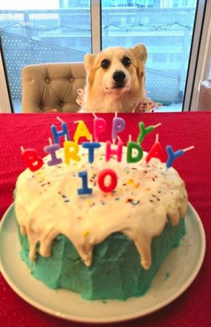 10th Bday.4.2025.JPG