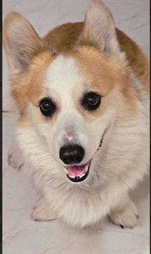 10th Bday.3.2025.JPG