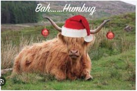 Screen Shot 2023-11-17 at 6.46.18 PM copy.jpg