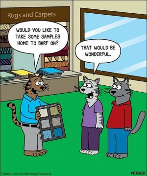 funny-cat-comics-scott-metzge-7.jpg