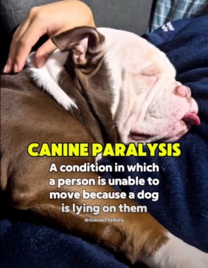 Screenshot at 2025-12-22 13-35-32.jpg