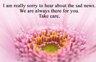 changeinplans.jpg changeinplans.jpg