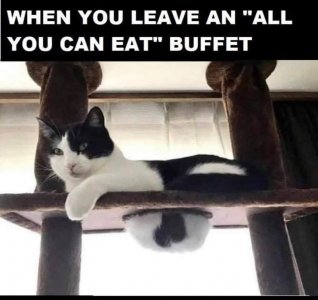An all you can eat buffet.jpg