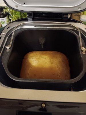 Loaf Just Finished.jpg