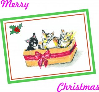 Merry Christmas 2u5.jpg