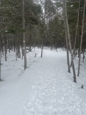 IMG_1863.jpeg IMG_1863.jpeg