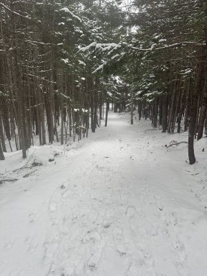 IMG_1864.jpeg IMG_1864.jpeg