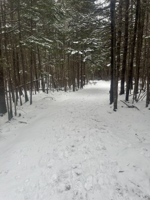 IMG_1865.jpeg IMG_1865.jpeg