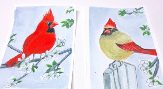 Watercolortwobirds-4Apostolides copy.jpeg