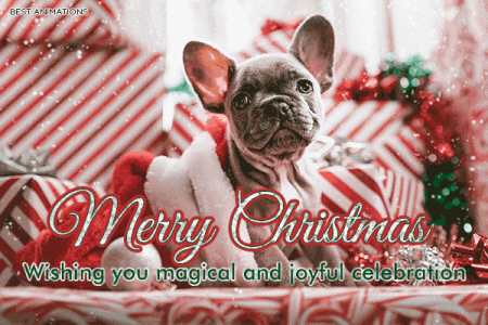 1503133629merry-christmas-cute-dog-puppy-snow-greetings-gif.gif