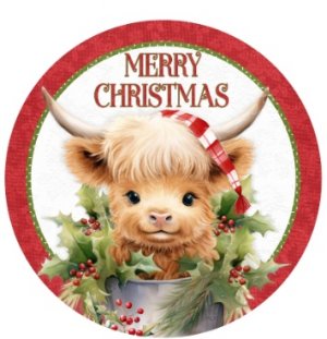 Screen Shot 2025-12-25 at 10.49.20 AM.jpg