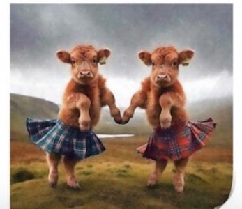 Screen Shot 2025-12-25 at 10.57.40 AM.jpg