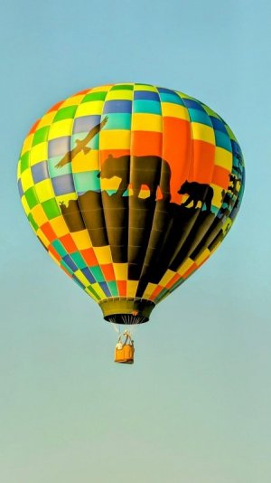 multi hot-air-balloon-8220197_1280.jpg