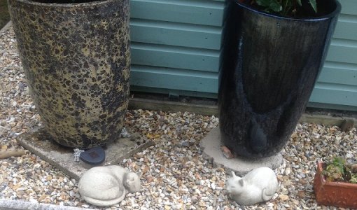 Green Blazer 005.JPG