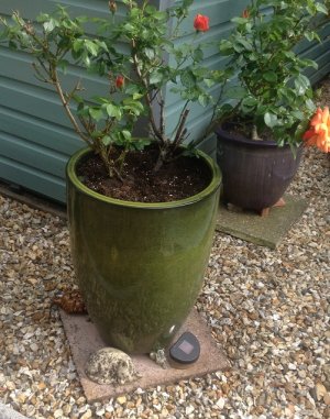 Green Blazer 006.JPG