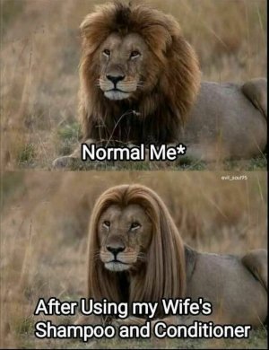LION HHAIR.jpg