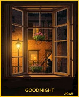 night 08 01 25 and 12 26 25.jpg