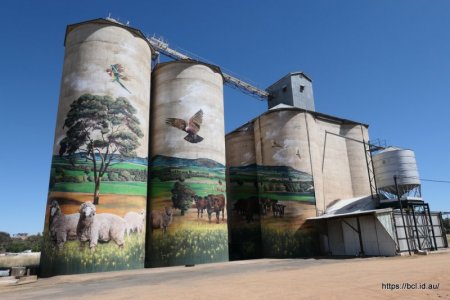 231117 028 Grenfell Silo Art.jpg