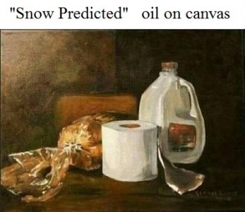 snow predicted.jpg