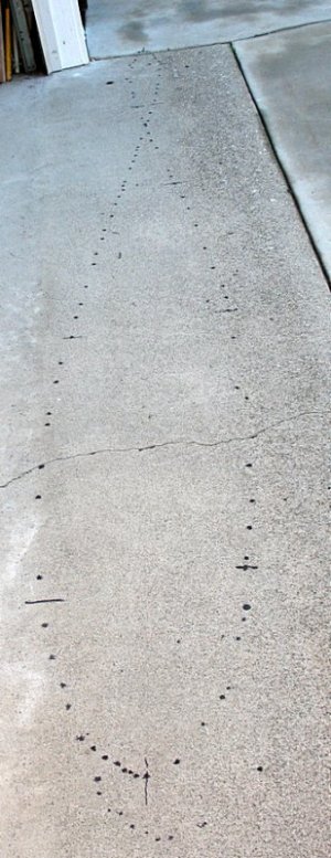 analemma.JPG