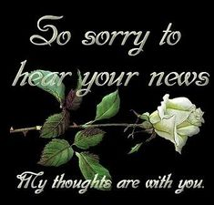 1766917935909.png 1766917935909.png