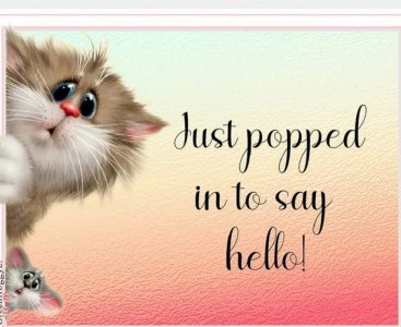 Screen Shot 2025-12-28 at 2.57.30 PM.jpg