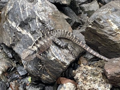 IMG_1839.jpeg IMG_1839.jpeg