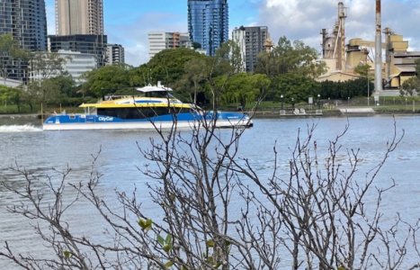 IMG_1843.jpeg IMG_1843.jpeg