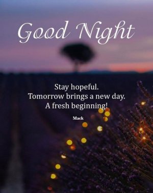 night 07 13 25 and 12 28 25.jpg