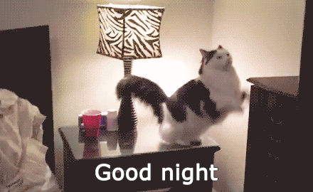 good-night-gif-13-3140769137.gif