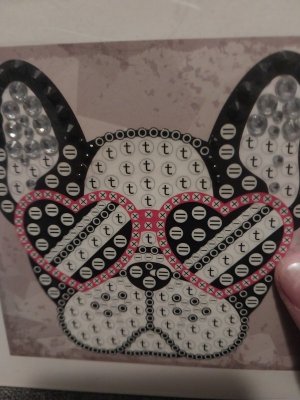 1000004174.jpg 1000004174.jpg