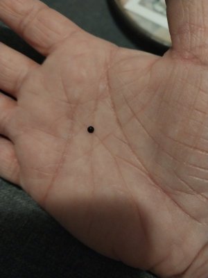 1000004176.jpg 1000004176.jpg