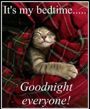 Screen Shot 2025-09-16 at 6.44.47 PM.jpg