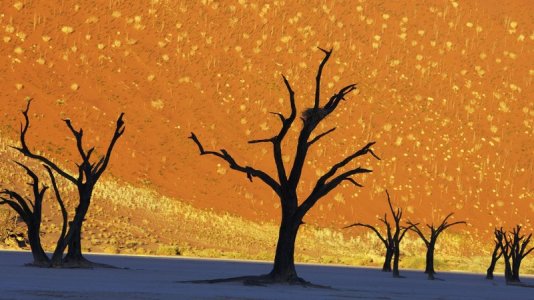 Namib-Naukluft National Park, Namibia.jpg