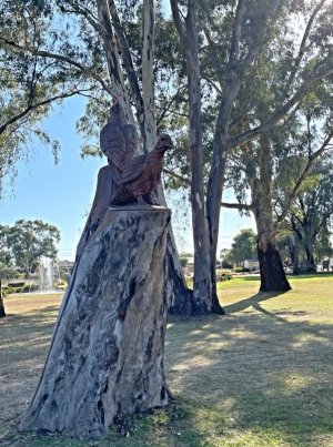 IMG_1916.jpeg IMG_1916.jpeg