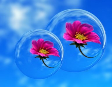 pink bubble flower.jpg