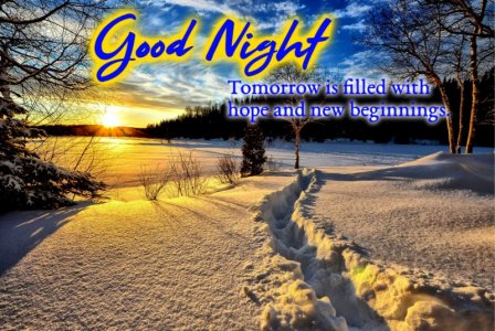 Good Night Winter Snow.jpg