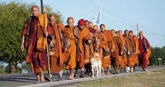 6945c4f1b875616878aba665_buddhist-monks-peace-walk-dog.jpg