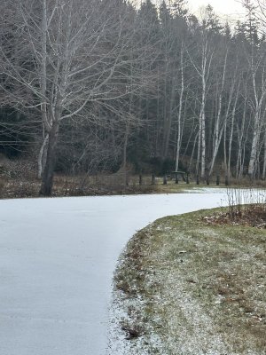 IMG_1960.jpeg IMG_1960.jpeg