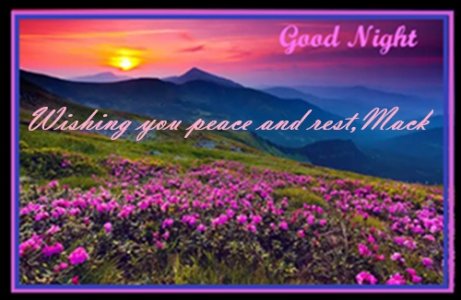 good night 06 08 25 and 01 02 26.jpg