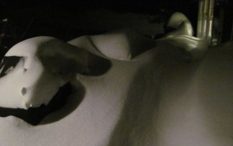 oldmanwinter copy.jpg