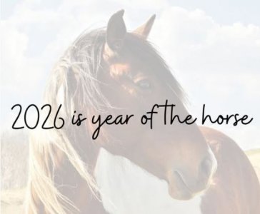 yearOFhorse.JPG