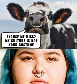 culture vs costume.jpg