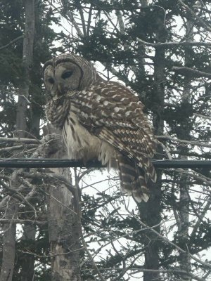 IMG_2562.jpeg IMG_2562.jpeg