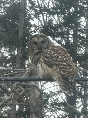 IMG_2561.jpeg IMG_2561.jpeg